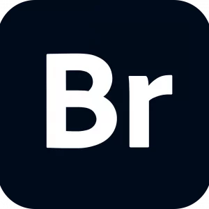 Adobe Bridge Pro 2025