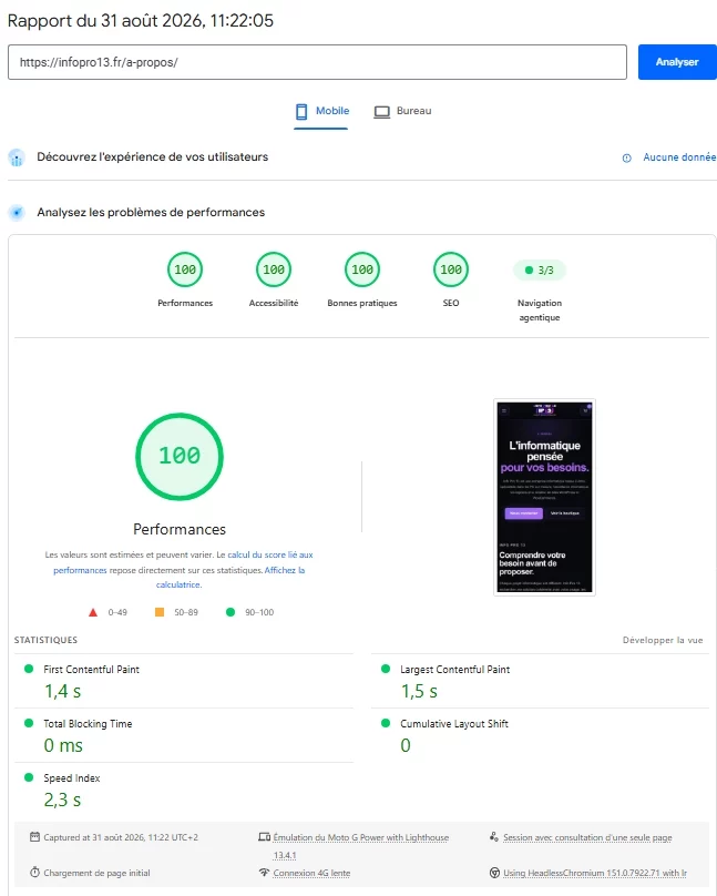 Score 100 PageSpeed Insights mobile de la page À propos Info Pro 13