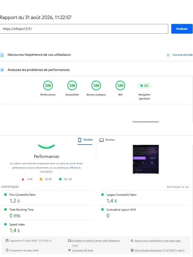 Score 100 PageSpeed Insights mobile de la page d'accueil Info Pro 13