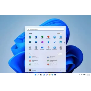 Windows 11 PRO + installation (Licence officielle DVD + Sticker)